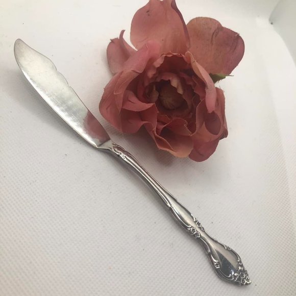 Affection Silverplate 1960 Master Butter Knife Flat Handle - Picture 1 of 7
